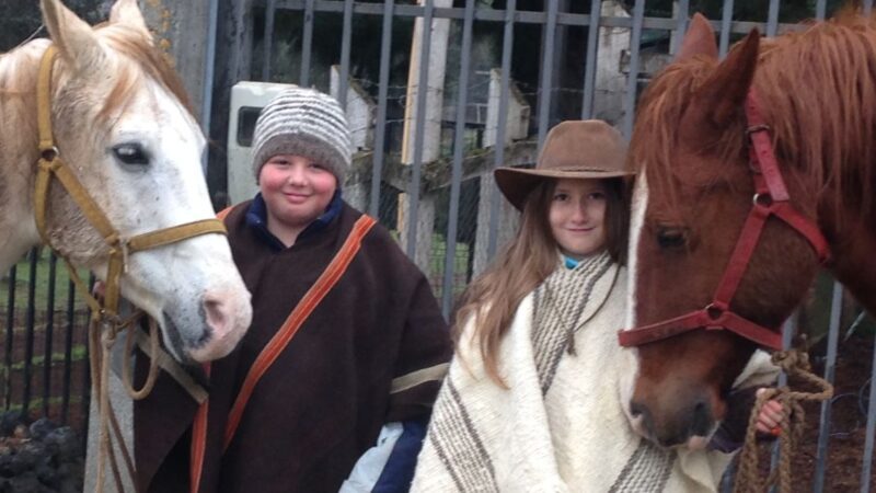 Taller para niños aprendiendo con caballos Equspatagonia Temuco Taller para niños aprendiendo con caballos Equspatagonia Temuco